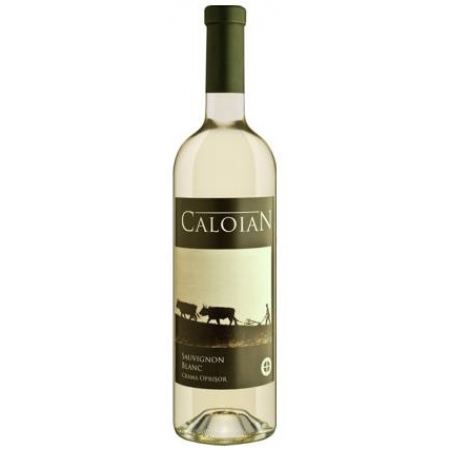 Caloian Sauvignon Blanc