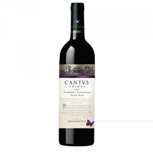 Cantus Primus Cabernet Sauvignon